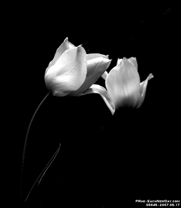 05645cls - Walking at ELM